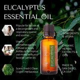 Eucalyptus Essential oil