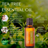 tea tree essential oil