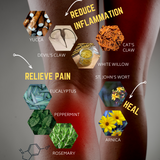 Pain relief body lotion