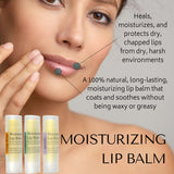 Lip Balm 