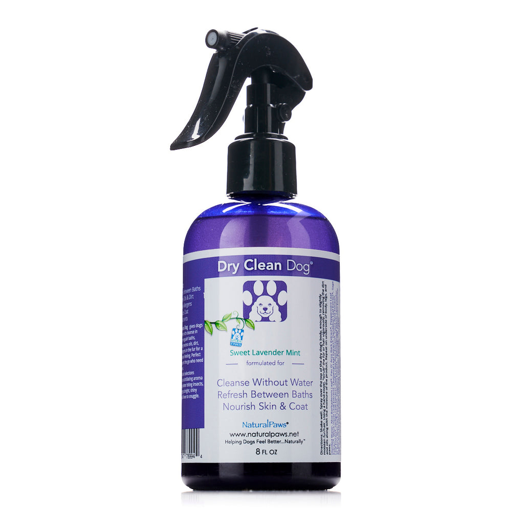 Dry Clean Dog Dry Shampoo RD Alchemy Natural Products