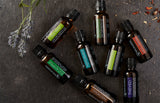 Eucalyptus - 100% Pure Aromatherapy Grade Essential Oil